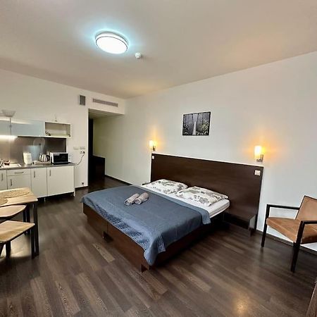 Apartman Priamo Na Hlavnej Ulici โกชิเซ ภายนอก รูปภาพ