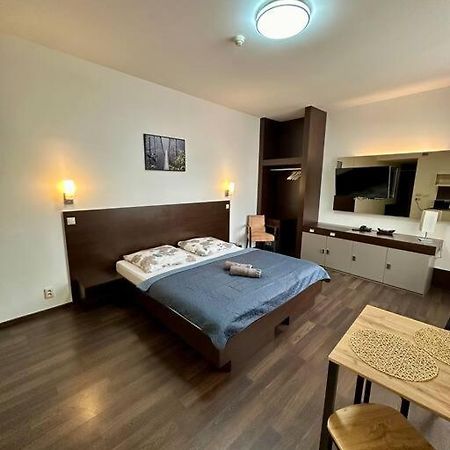 Apartman Priamo Na Hlavnej Ulici Apartment โกชิเซ ภายนอก รูปภาพ